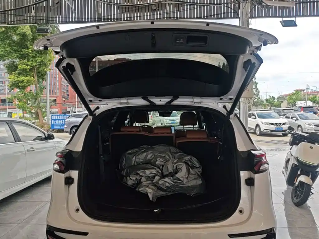 BYD Tang New Energy — фото 15
