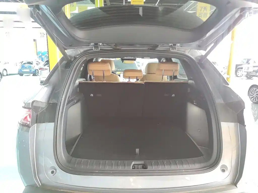 BYD L DM-i — фото 19