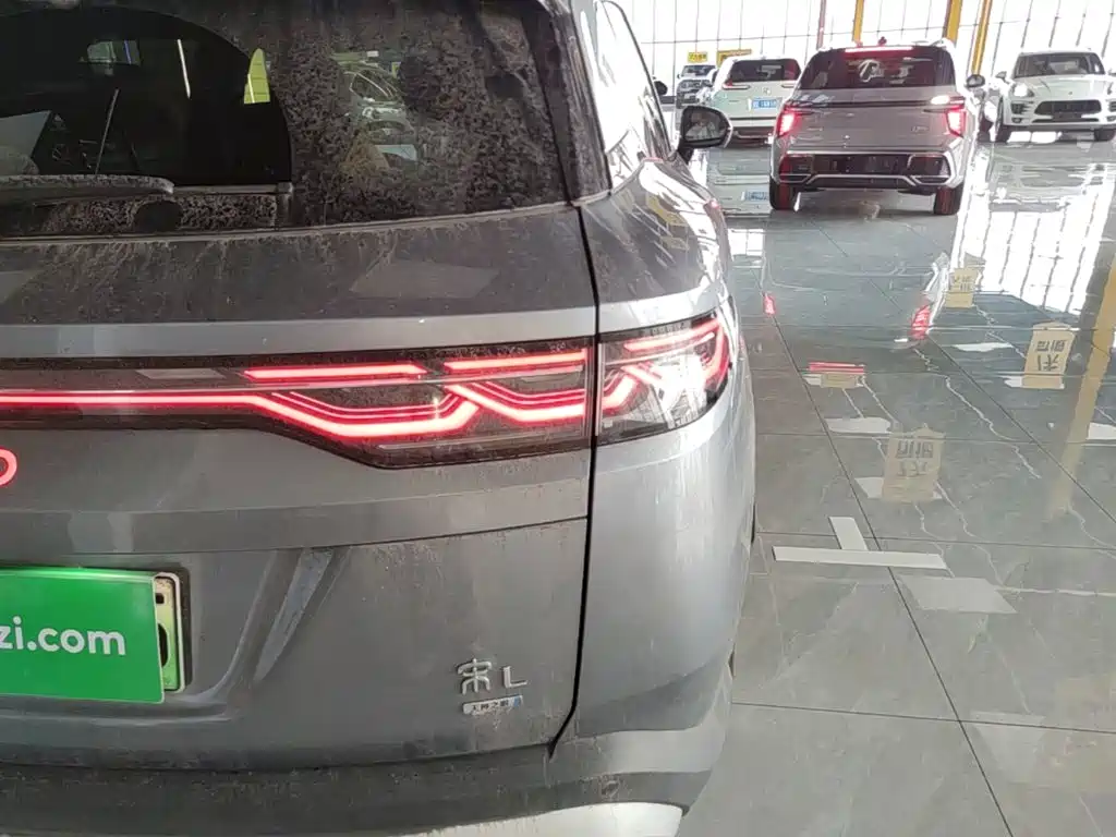 BYD L DM-i — фото 8
