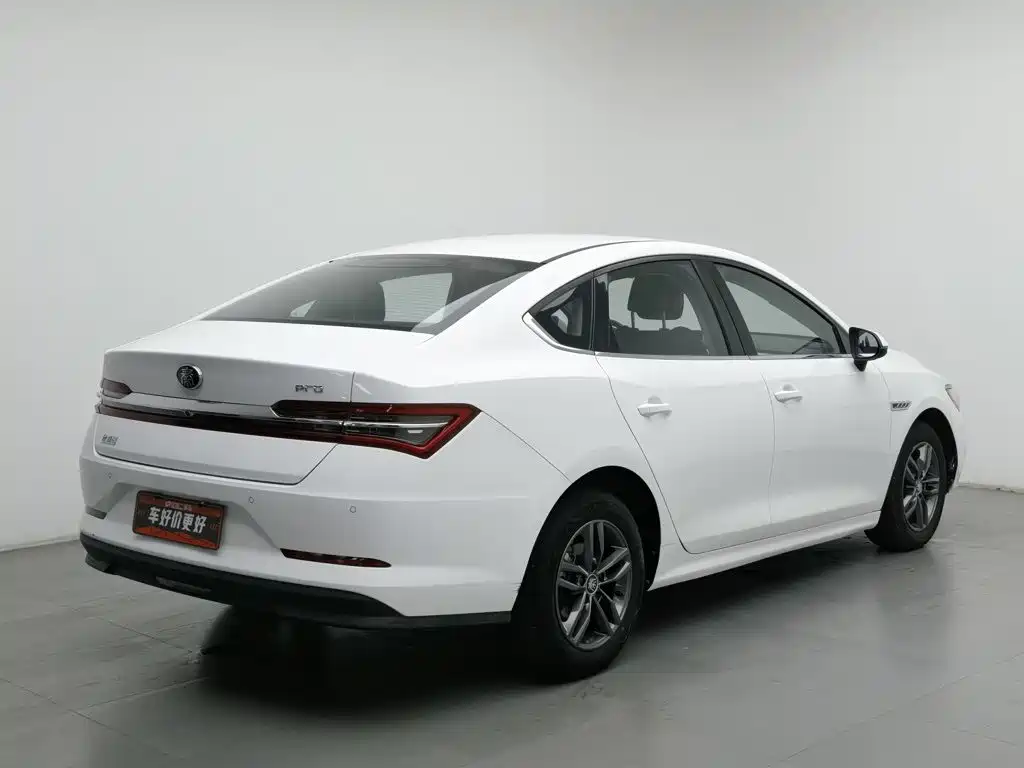 BYD Qin Pro — фото 2