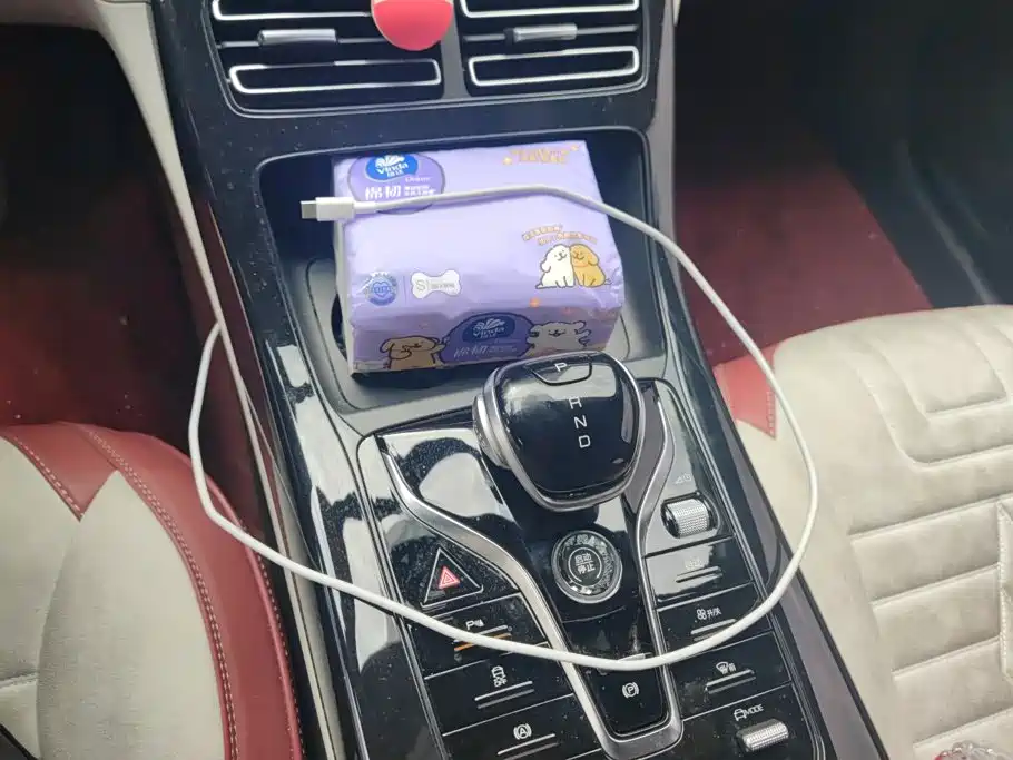 BYD Qin PLUS — фото 16