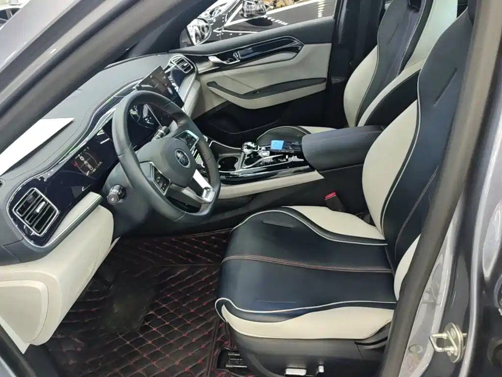 BYD Qin PLUS — фото 15