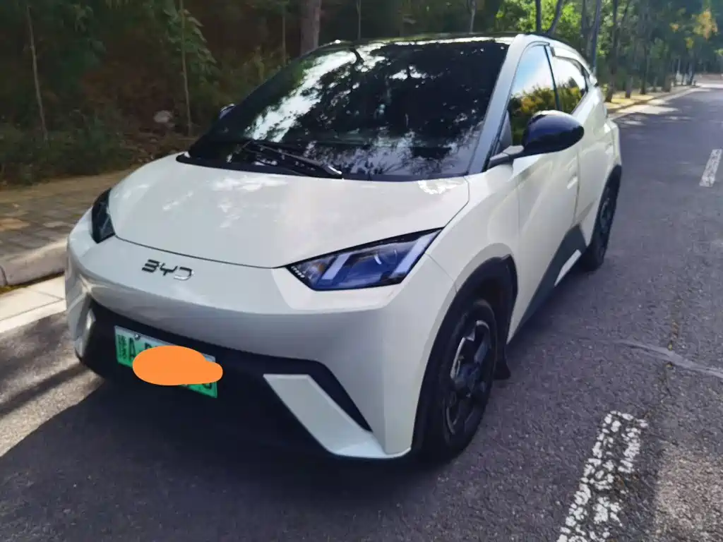 BYD Seagull