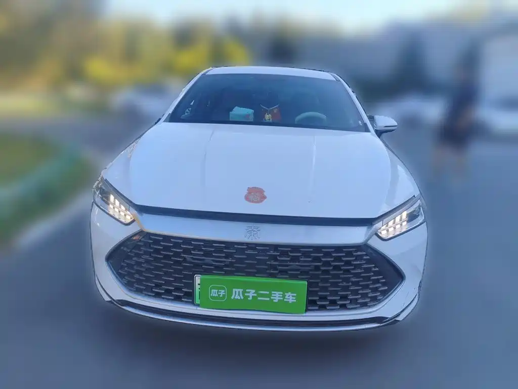 BYD Qin PLUS — фото 2