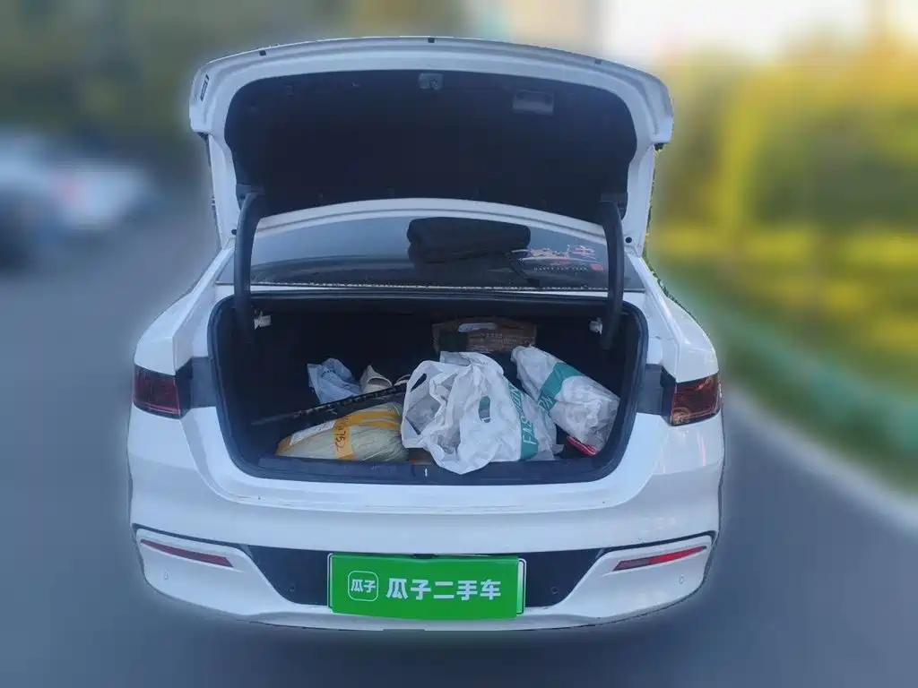 BYD Qin PLUS — фото 15