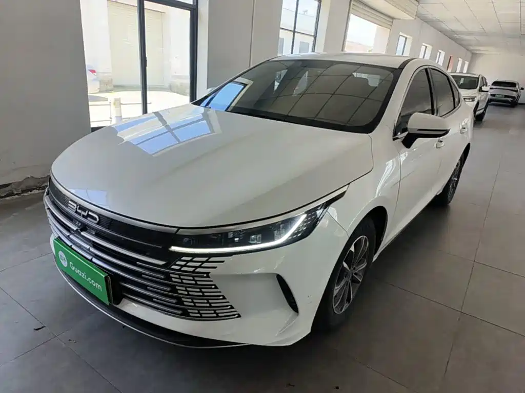 BYD Destroyer 05 — фото 2