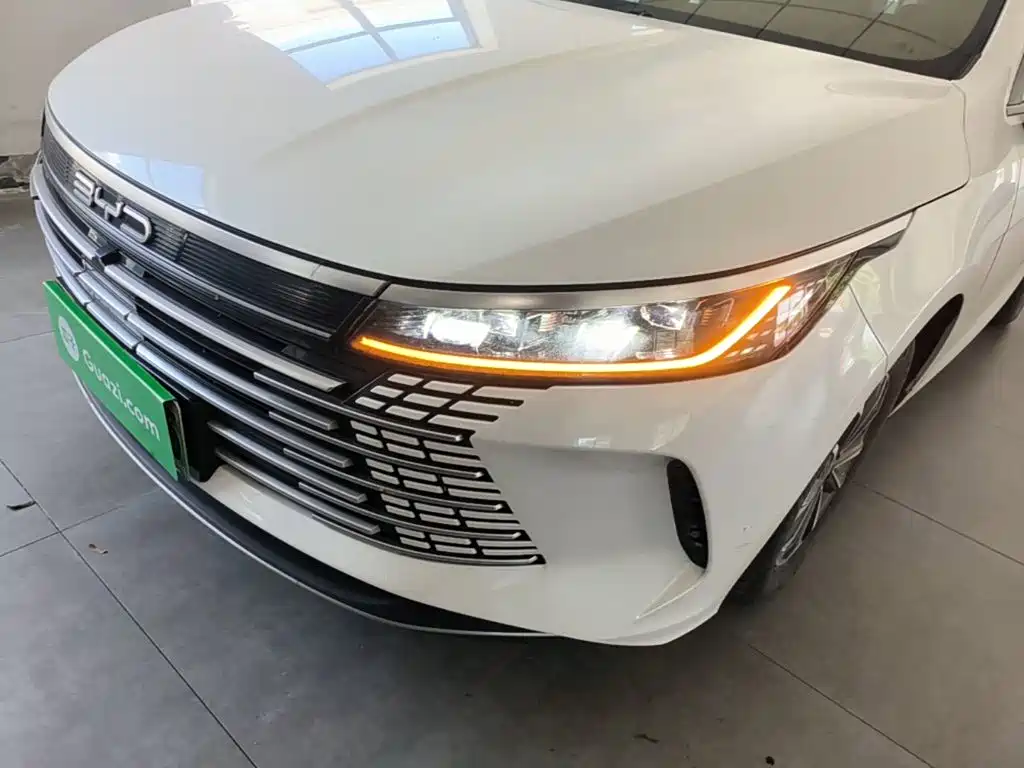 BYD Destroyer 05 — фото 18