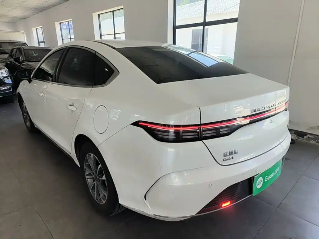 BYD Destroyer 05 — фото 23