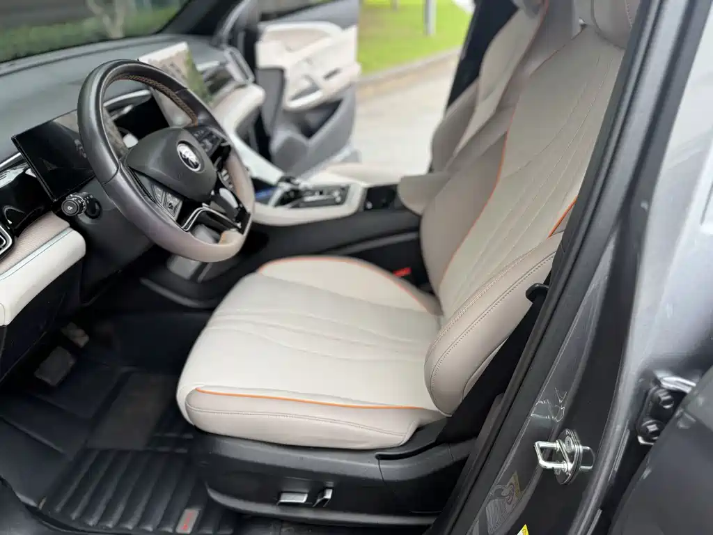BYD Pro New Energy — фото 4