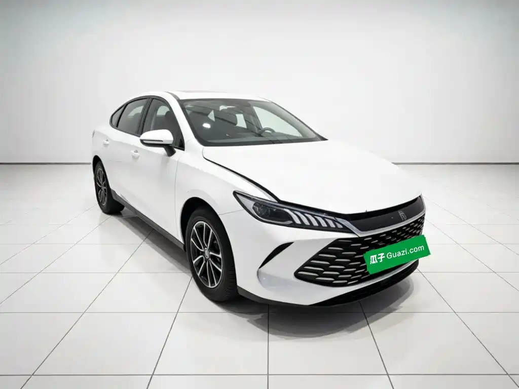 BYD Qin PLUS — фото 3