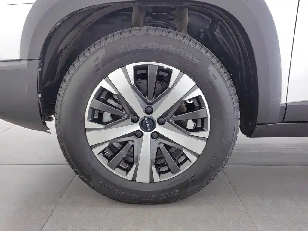 Haval Big Dog — фото 17