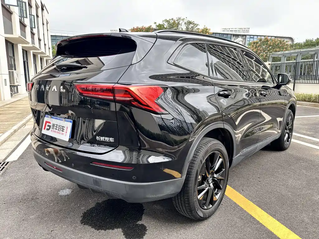 Haval H6 — фото 24