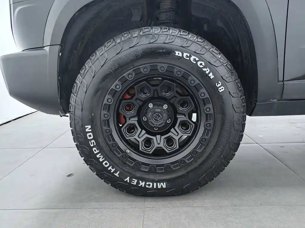 Haval Big Dog — фото 17