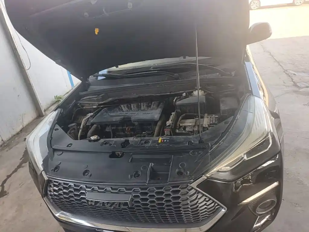 Haval H6 Coupe — фото 19