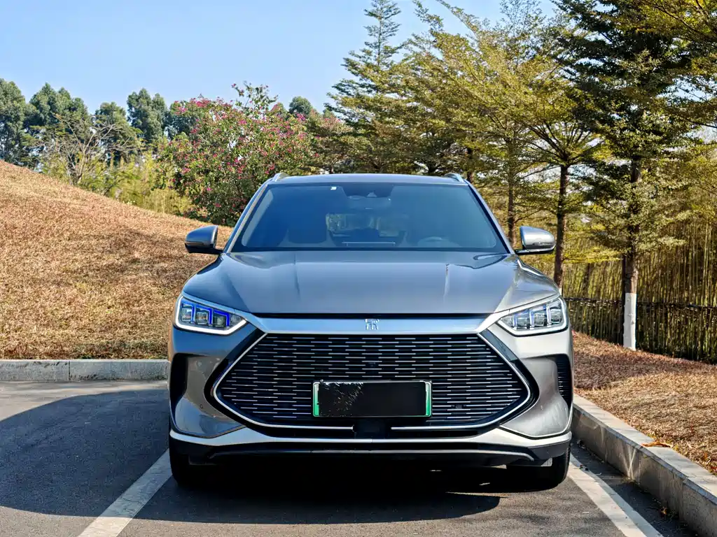 BYD PLUS New Energy — фото 2