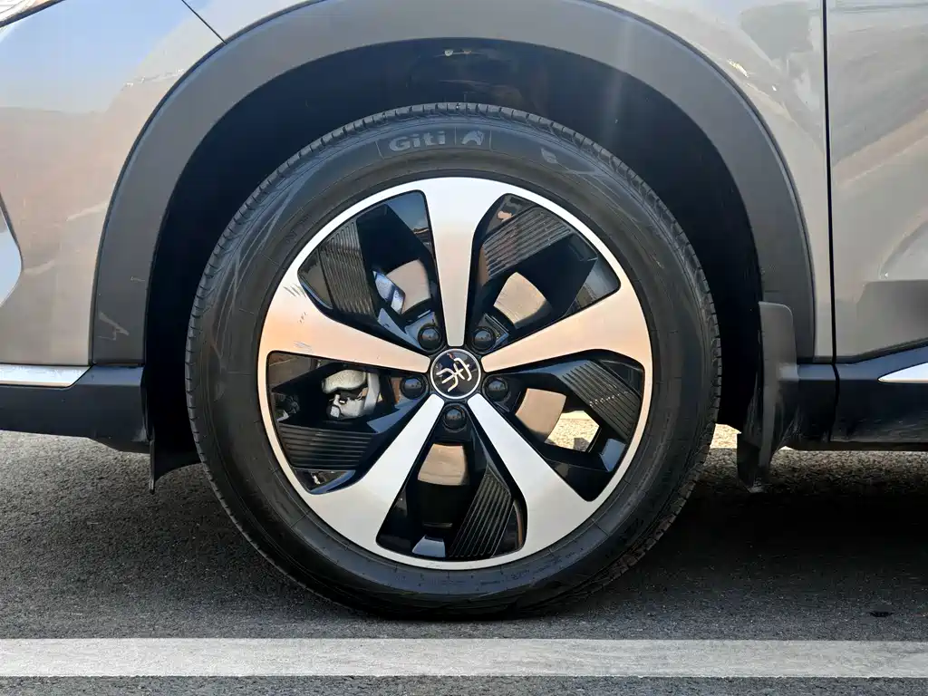 BYD PLUS New Energy — фото 19