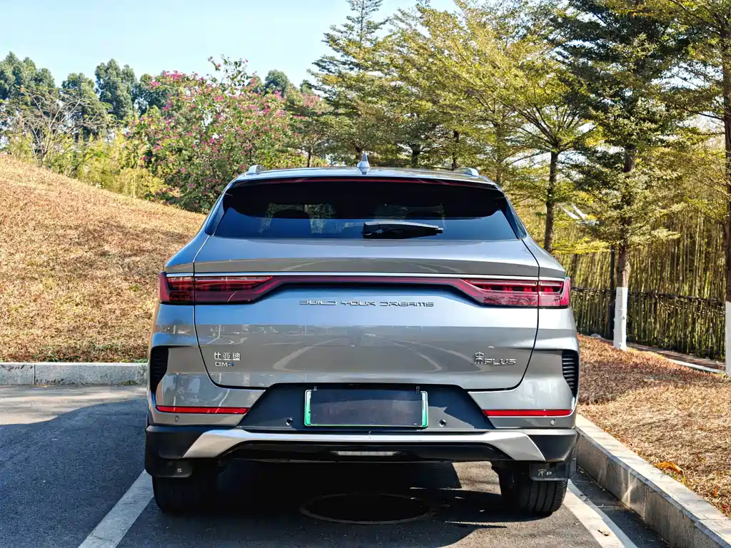 BYD PLUS New Energy — фото 5