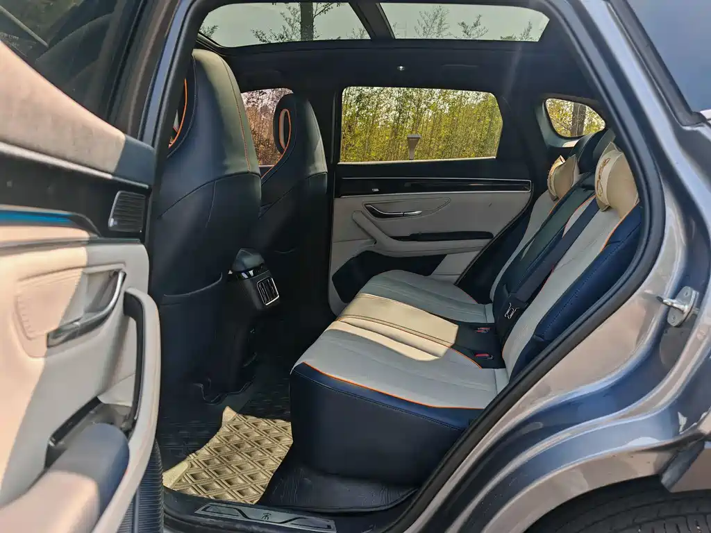 BYD PLUS New Energy — фото 10