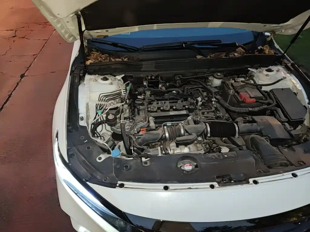 Honda Accord — фото 18