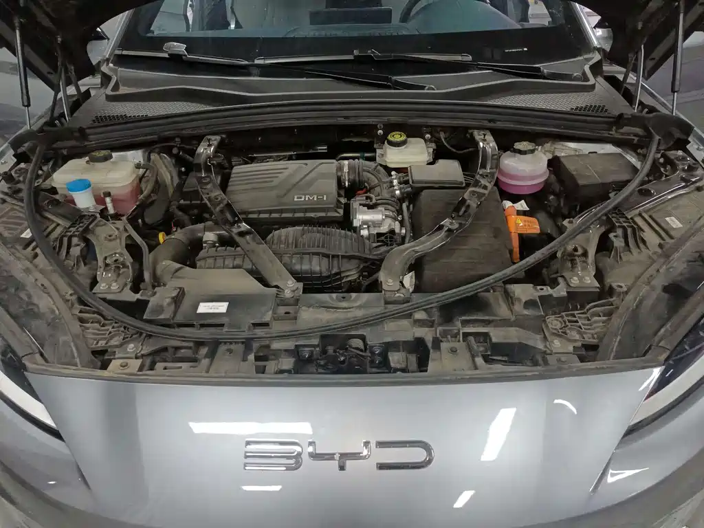 BYD PLUS New Energy — фото 4