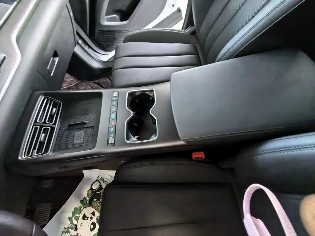 BYD Pro New Energy — фото 11
