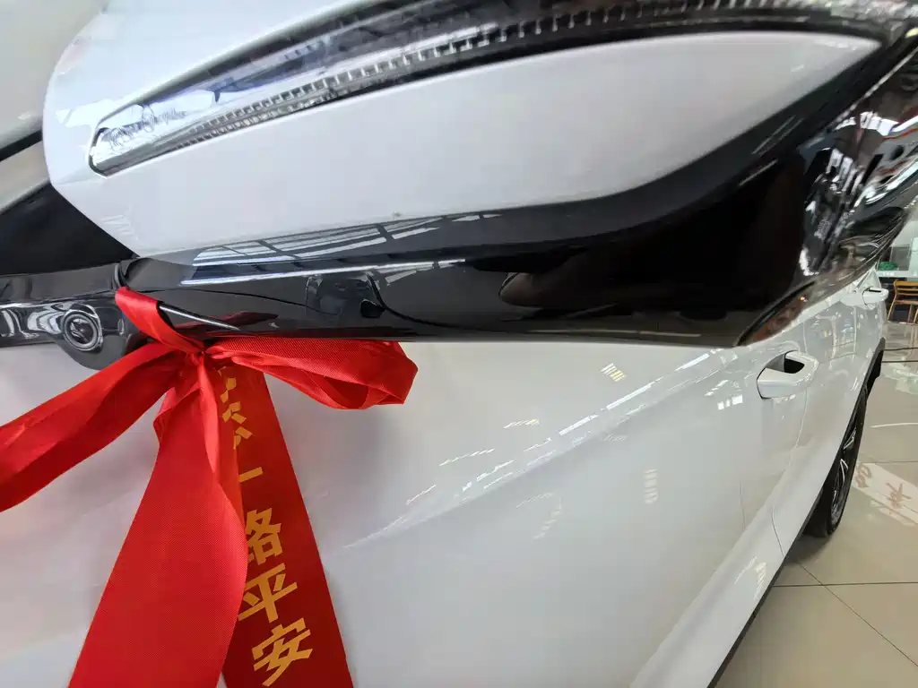 BYD Pro New Energy — фото 13