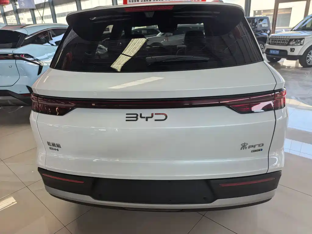 BYD Pro New Energy — фото 4