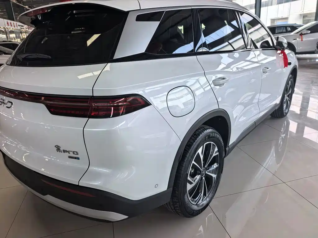 BYD Pro New Energy — фото 5