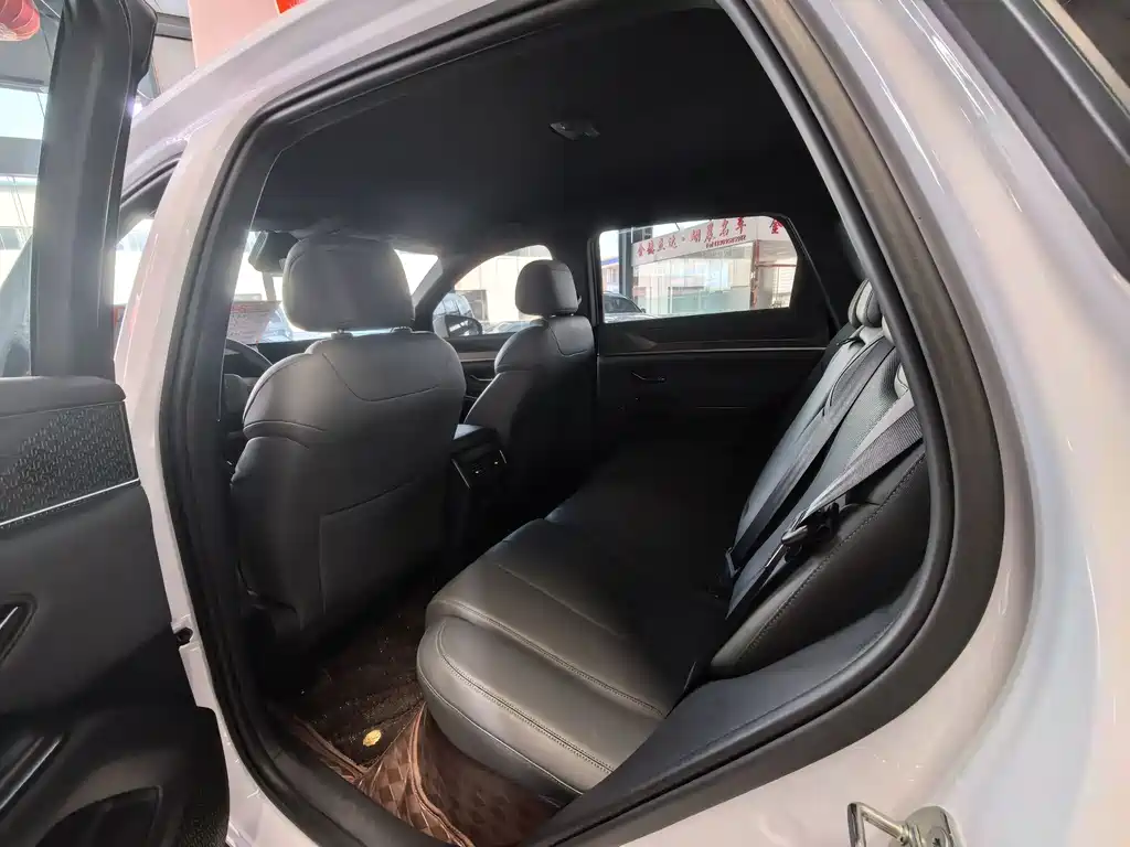 BYD Pro New Energy — фото 8