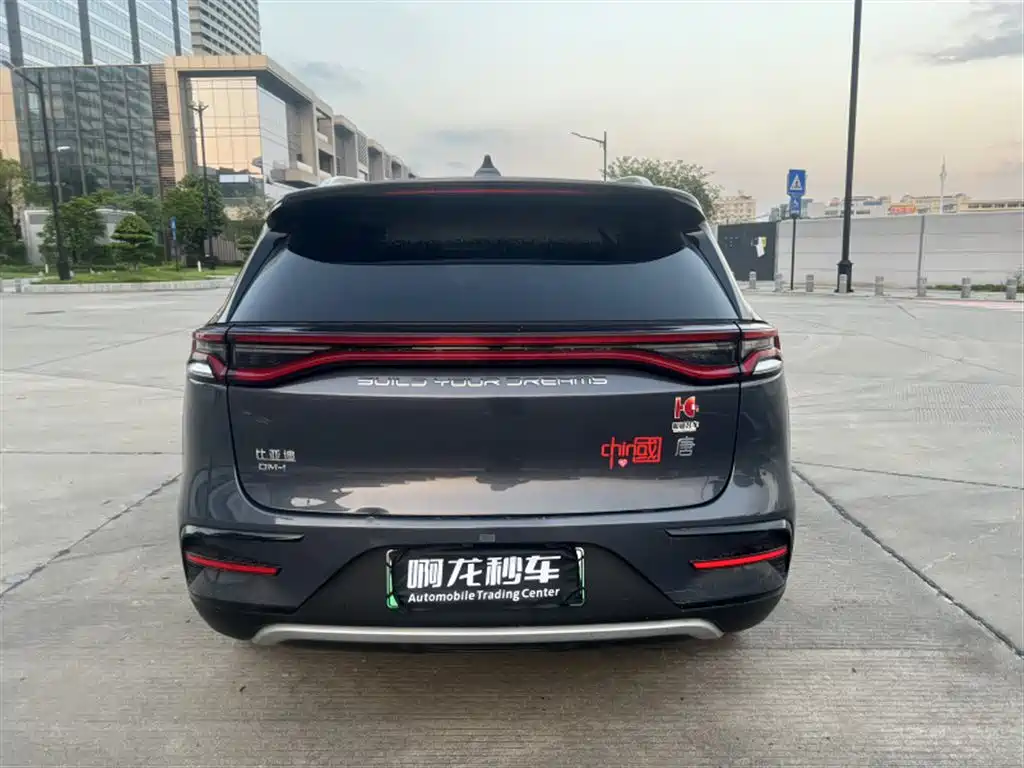BYD Tang New Energy — фото 8