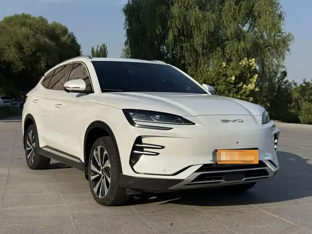 BYD PLUS New Energy — фото 3