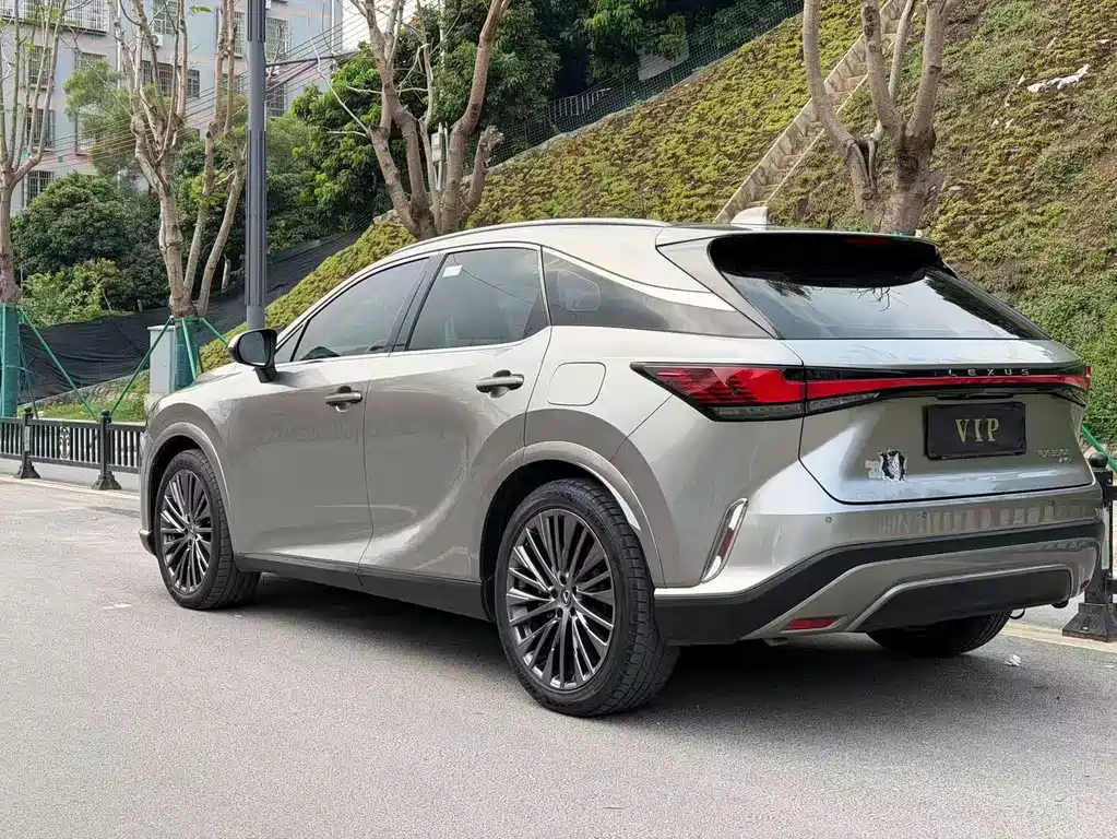 Lexus RX — фото 8