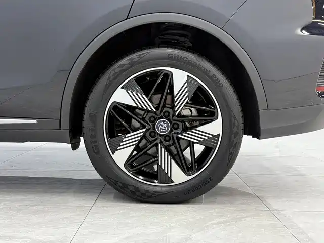 BYD Tang New Energy — фото 12