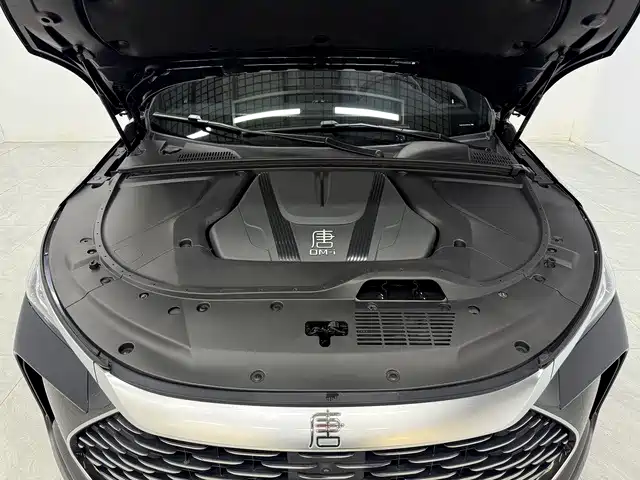 BYD Tang New Energy — фото 10