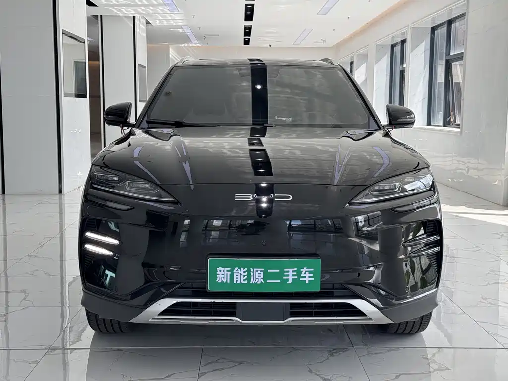 BYD PLUS New Energy — фото 2