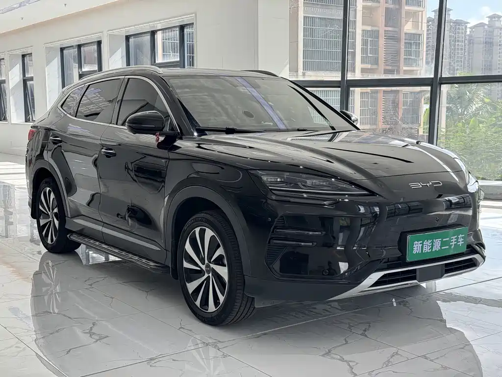 BYD PLUS New Energy — фото 3