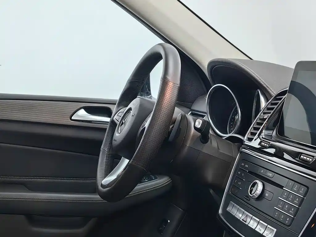 Mercedes-Benz GLE (Import) — фото 22