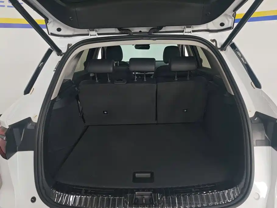 BYD Pro — фото 4