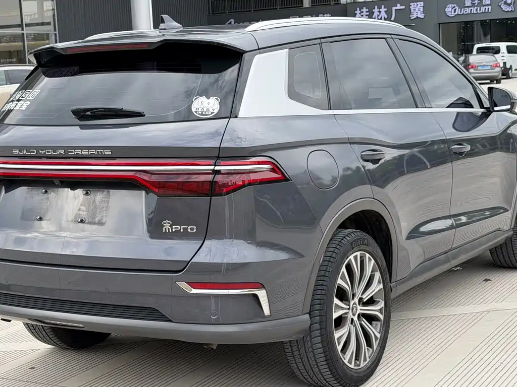 BYD Pro New Energy — фото 4