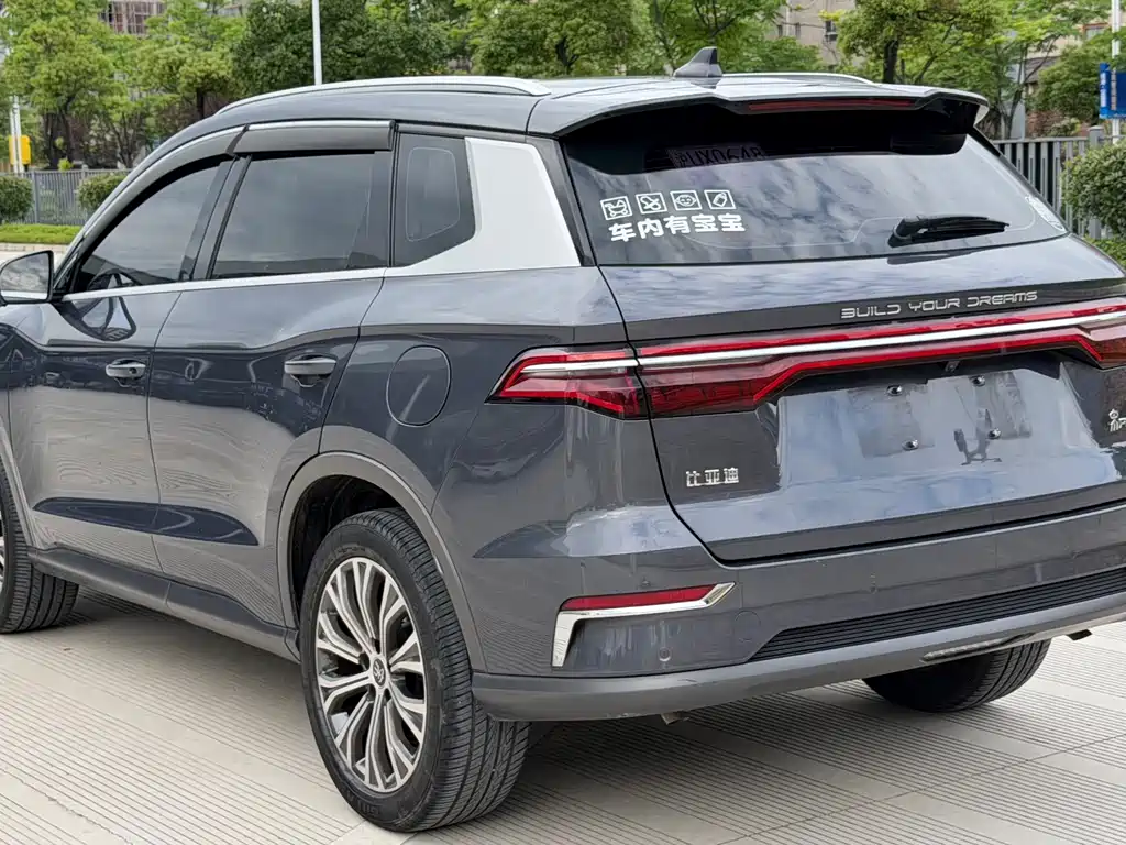 BYD Pro New Energy — фото 6