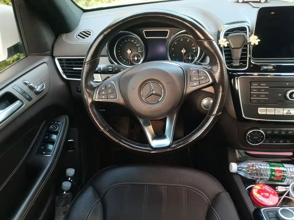 Mercedes-Benz GLE (Import) — фото 11