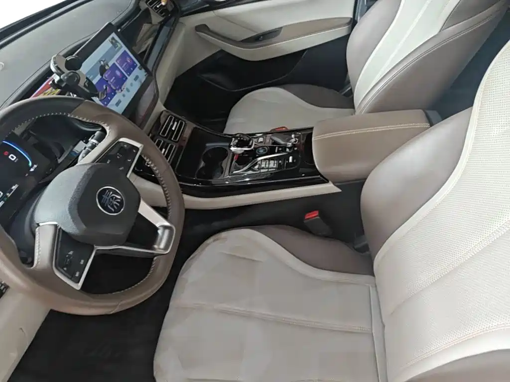 BYD Qin PLUS — фото 15