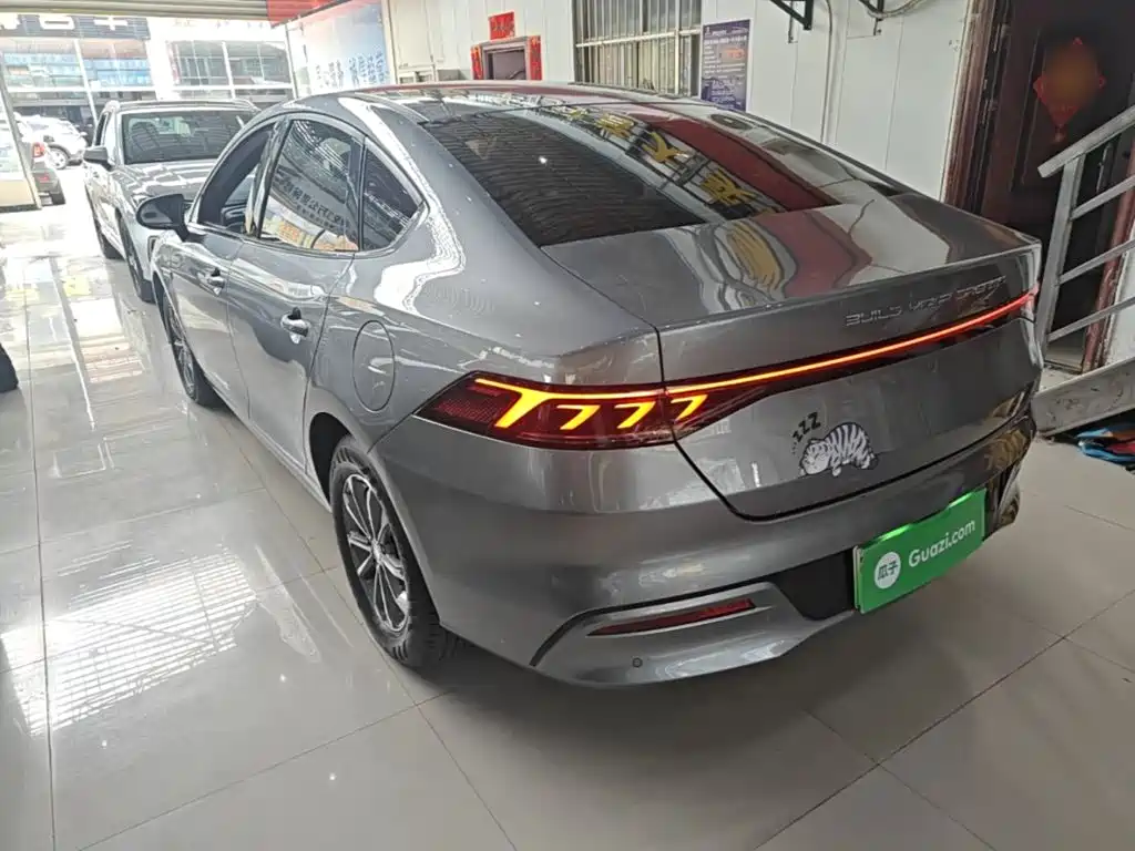 BYD Qin PLUS — фото 5
