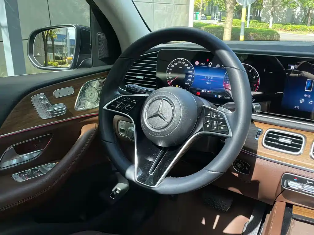 Mercedes-Benz GLE (Import) — фото 11