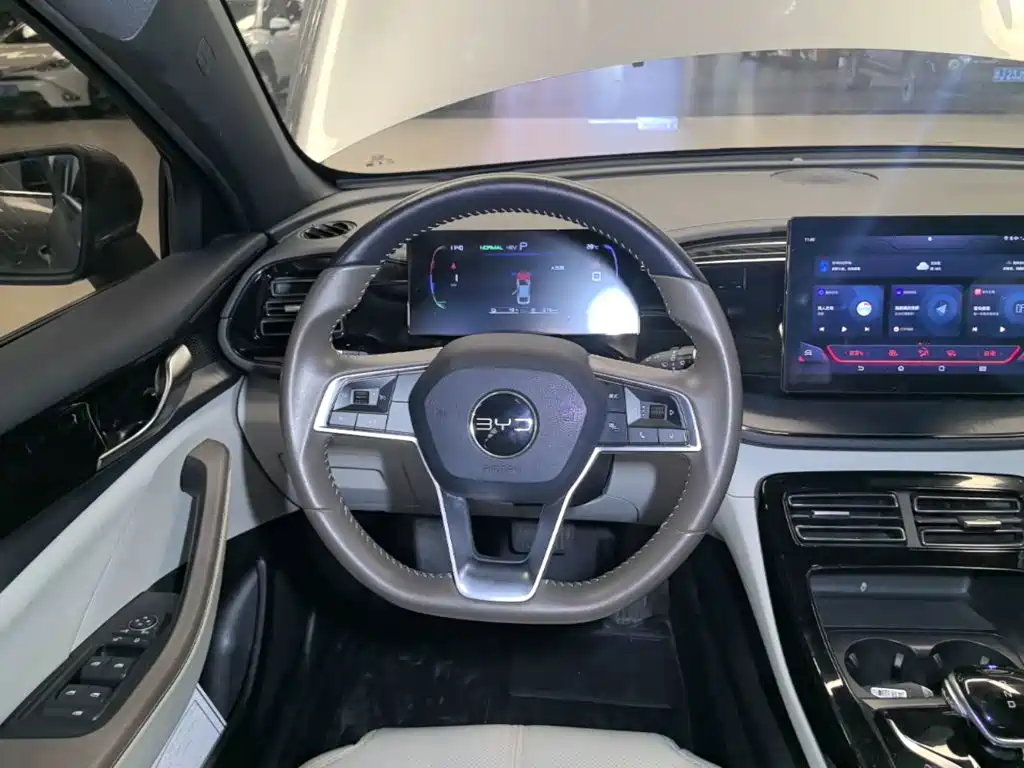 BYD Qin PLUS — фото 11