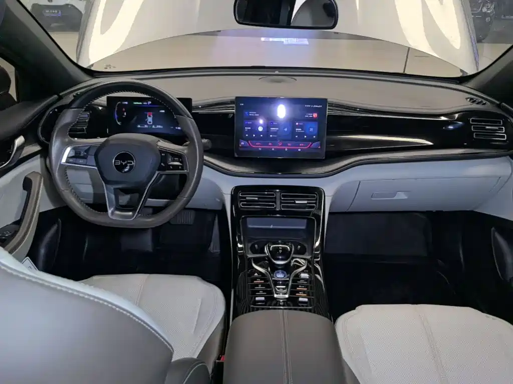 BYD Qin PLUS — фото 10