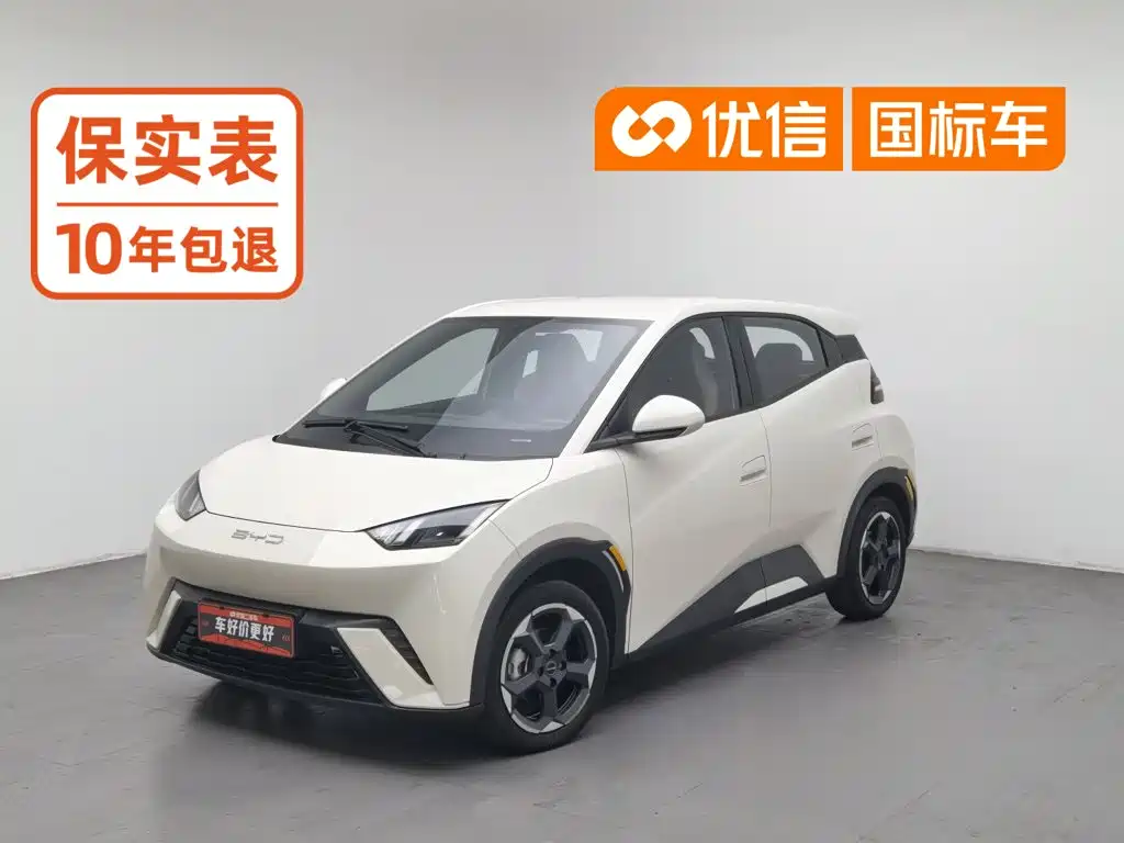 BYD Seagull