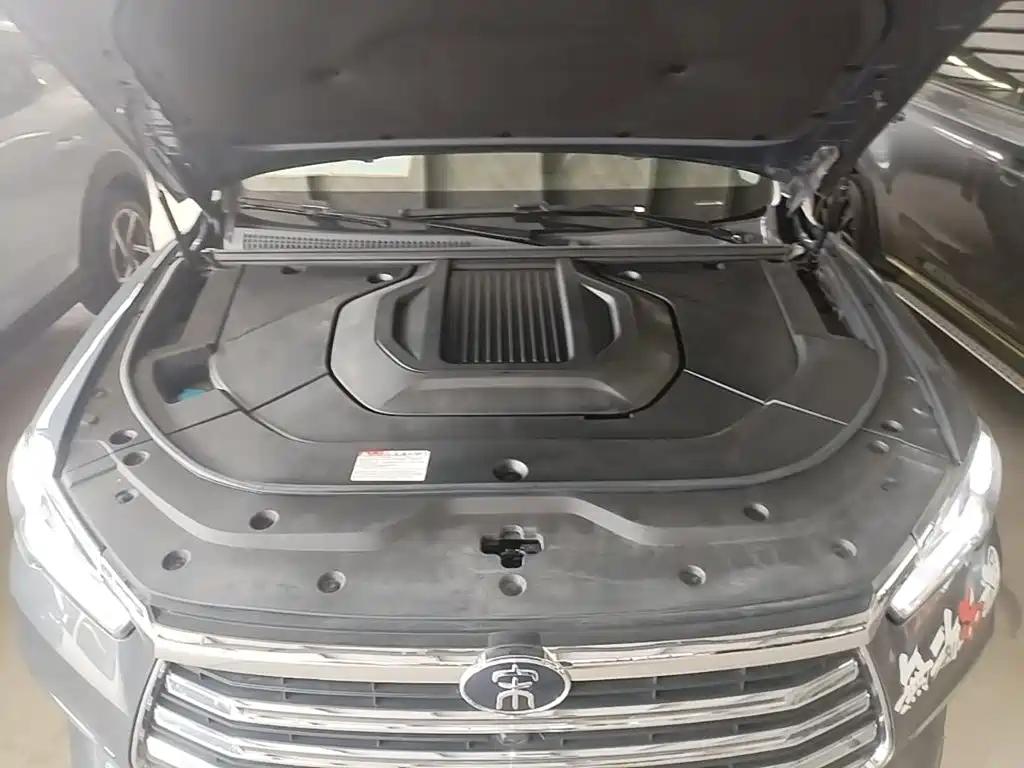 BYD Pro New Energy — фото 16