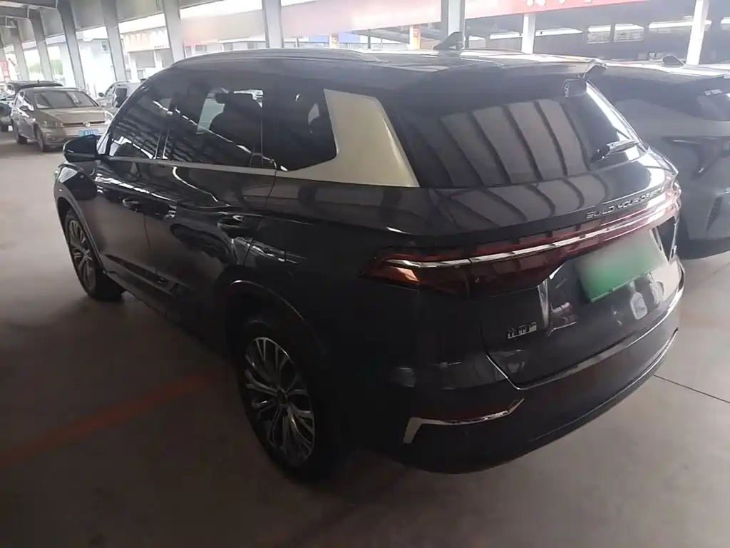 BYD Pro New Energy — фото 23
