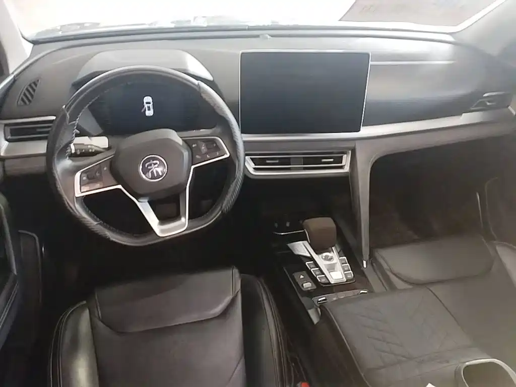 BYD Pro New Energy — фото 6